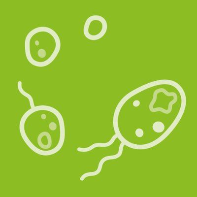 Поздравляем Отдел охраны репродуктивного здоровья и Лабораторию микробиома и микроэкологии ФГБНУ НЦ ПЗСРЧ с публикацией в журнале «Life» (WOS, Q2)