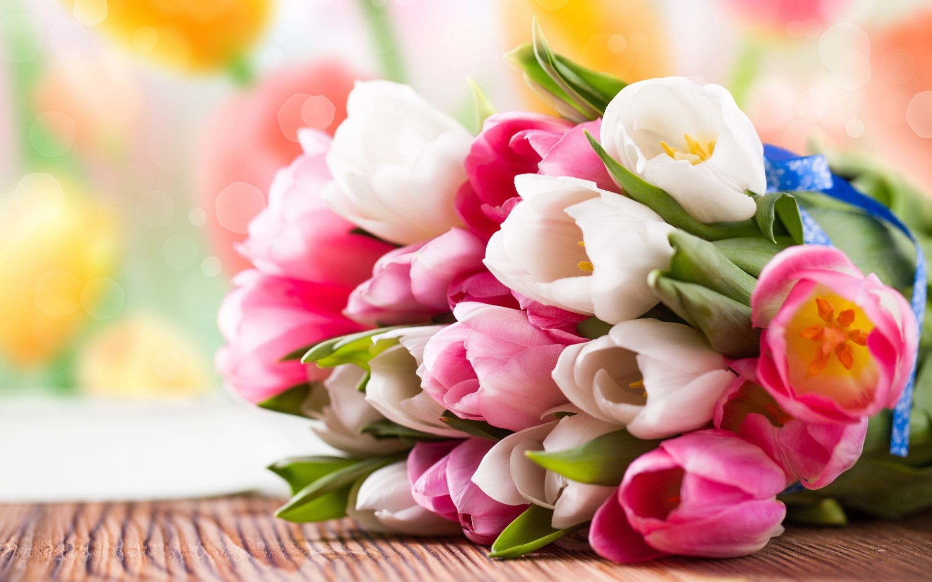 beautiful-tulip-flowers.jpg