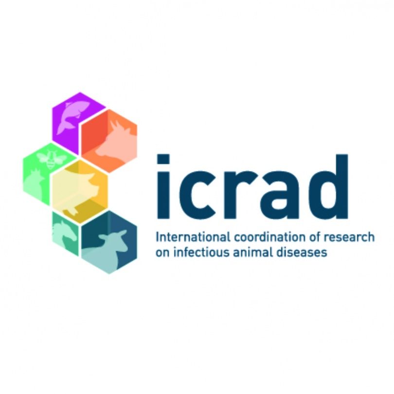 Конкурс совместных международных исследовательских проектов ICRAD