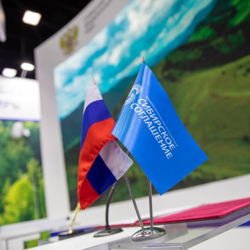 Заседание координационного совета Межрегиональной ассоциации экономического взаимодействия субъектов РФ «Сибирское соглашение» состоялось 11 ноября в Правительстве ИО
