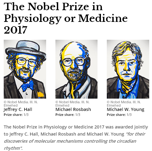 Новости современной науки. Нобелевская премия по физиологии и медицине 2017 года