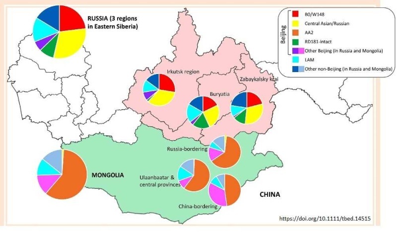 Монголия избежала эпидемии мультирезистентного туберкулеза, характерного для России