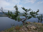  Подведены итоги и награждены победители дебютного Международного фотоконкурса «Сохраним жизнь мировых жемчужин - озер Байкал и Хубсугул»