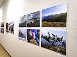 Фотовыставка, посвященная Международному фотоконкурсу «Сохраним жизнь мировых жемчужин – озер Байкал и Хубсугул» открылась в Научном центре 12 мая 