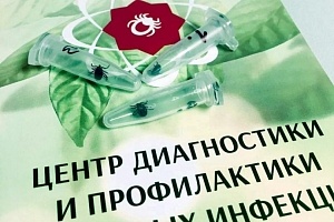 Первые укусы клещей зафиксированы в Иркутской области